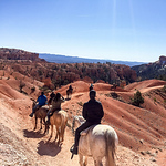 Profile Picture of Chris Parkerson (@chrispcooks) on Flickr