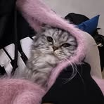 Profile Picture of Dalia Hammad (@dalia.hammad.647961) on Facebook