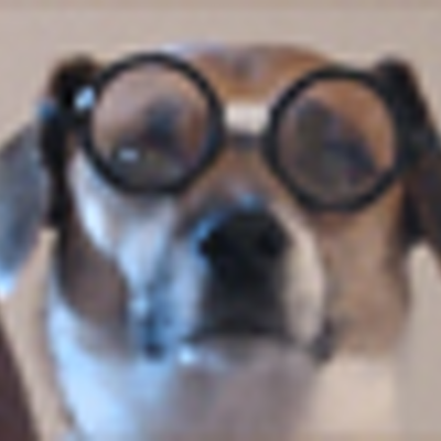 Profile Picture of Scott Stearns (@The_Book_Nook) on Twitter