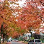Profile Picture of Cambie, Douglas, Windsor B&B (@beautifulguesthouse) on Instagram