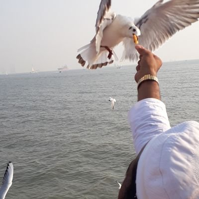 Profile Picture of Ghulam Rasul... (@EuRC9D08nZTBsoS) on Twitter