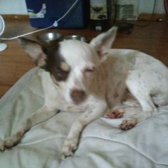 Profile Picture of Jessica Rosenick (@jessicarosenick) on Poshmark