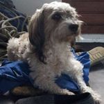 Profile Picture of Jacob van der Wal (@jacob.vanderwal.520125) on Instagram