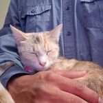 Profile Picture of Peter Alfaro (@ipocket.pa) on Instagram