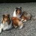 Profile Picture of Mary Muirhead (@mary.muirhead.716) on Facebook
