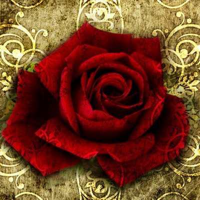 Profile Picture of Jean Mason (@jeanmas88310263) on Twitter