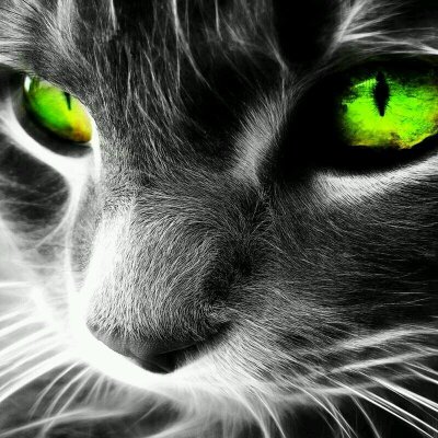 Profile Picture of Marek Kot (@karol9271) on Twitter