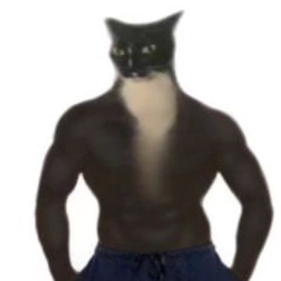 Profile Picture of andrewgarriga (@andrewgarriga) on Tiktok