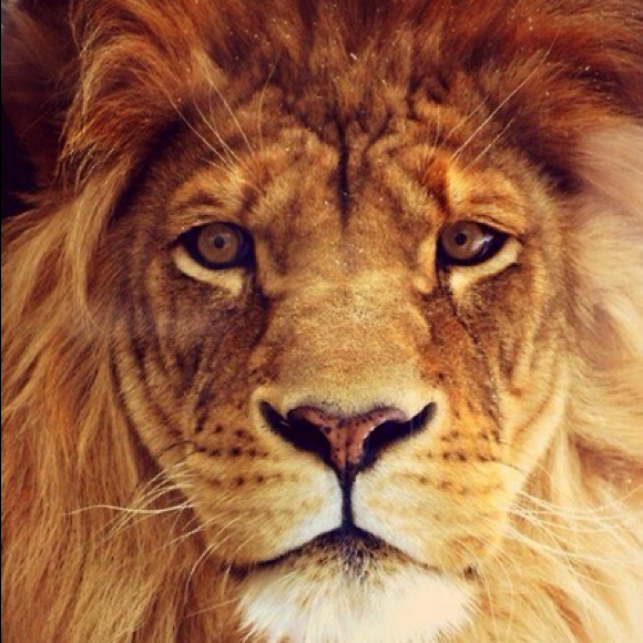 Brinley Thetford - Poshmark Profile Picture of Brinley Thetford (@brinleyboo12) on Poshmark