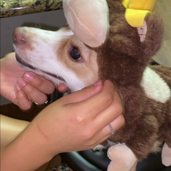 Profile Picture of Shanice Howard (@shanicehowar826) on Poshmark