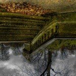 Profile Picture of Conklin (@7881westfirled) on Instagram