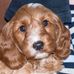 Profile Picture of Sheila Skidmore (@sheila.skidmore.56) on Facebook