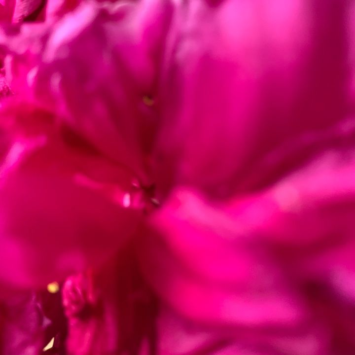 Profile Picture of Chandra.Rai (@chandrarai598) on Tiktok