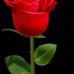 Profile Picture of John Javier (@john.javier.560272) on Facebook