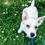 Profile Picture of Toby Quinn (@tobiasflynnfranciscoquinn) on Instagram