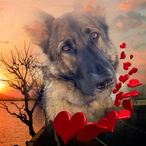 Profile Picture of Shelly Ruttan (@jjaiden2001) on Poshmark