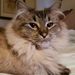 Profile Picture of Jeanne Heger (@jeanneannjanice) on Pinterest