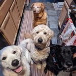 Profile Picture of Kim Strack Armstrong (@mrsxrnut) on Instagram