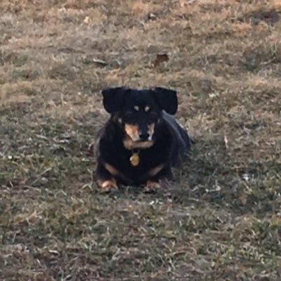 Profile Picture of Tori Douglas (@ToriDouglas3) on Twitter