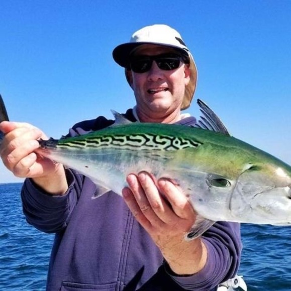 Profile Picture of Steve Cassidy (@whaler2011) on Poshmark