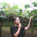 Chris Springfield - Facebook Profile Picture of Chris Springfield (@chris.springfield.9) on Facebook