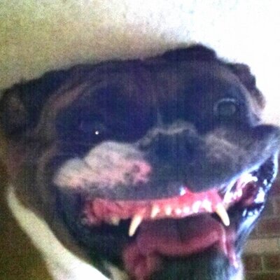 Profile Picture of Mike Converse (@Mike111Converse) on Twitter