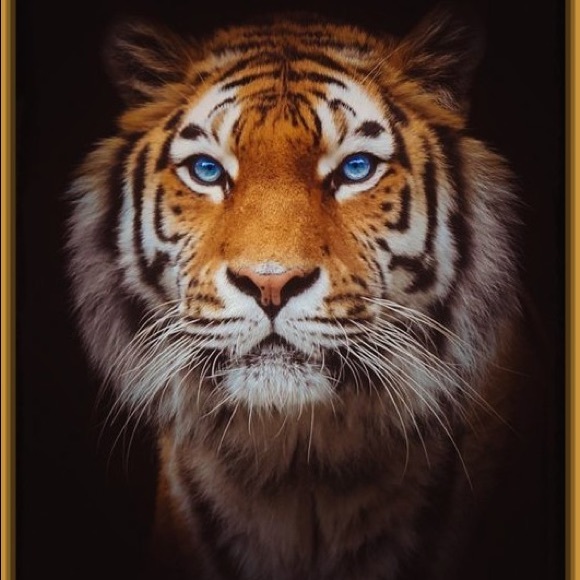 Profile Picture of Jean Roche (@j3an0814) on Poshmark