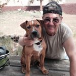 Profile Picture of Gary Pickles (@garydpickles) on Instagram