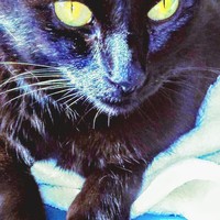 Profile Picture of Dori Noel  (@dori-noel) on Quora