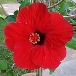 Philip Penrose - Flickr Profile Picture of Philip Penrose (@p.j.penrose) on Flickr