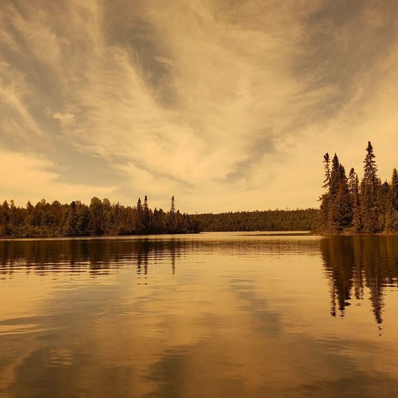 Profile Picture of Laura Baarson (@lauralynnp) on Poshmark