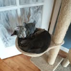 Profile Picture of Dawn Kluka (@Dawn-Kluka) on Facebook