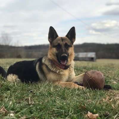 Profile Picture of Jakob Shirley (@ShirleyJakob) on Twitter