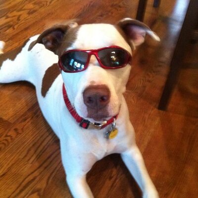 Profile Picture of John Mabe Jr (@mabe_john) on Twitter