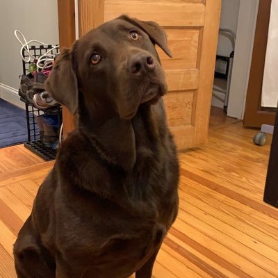 Profile Picture of Katie Stroh (@katee_bikes) on Twitter