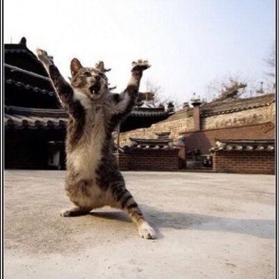 Profile Picture of Caleb Wayne Blaylock (@BlaylockCaleb) on Twitter