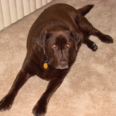 Profile Picture of Elaine Rutter (@erutton) on Twitter