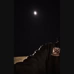 Profile Picture of Nermin Abdelrahman (@nermeen.abdlrhman) on Facebook