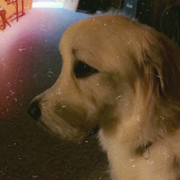 Profile Picture of Nova Hernandez (@nova_the_great) on Poshmark