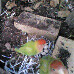 Profile Picture of mark (@davidgeme) on Instagram