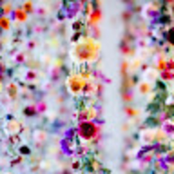 Profile Picture of Musicislife Music (@alessalima22) on Poshmark