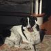 Profile Picture of Peter Valles (@peterjvalles) on Pinterest
