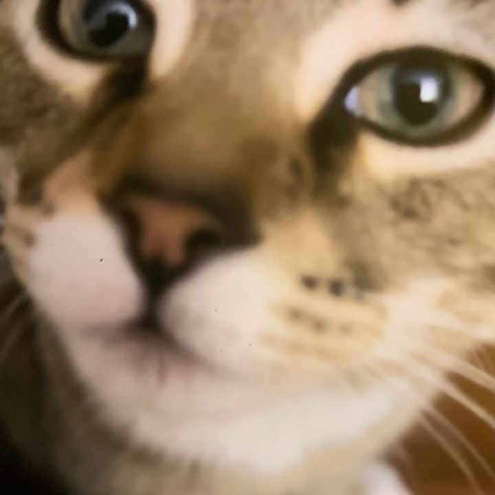 Profile Picture of Christian (@jeffreyseaberg) on Tiktok