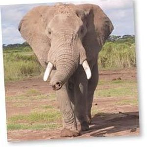 Profile Picture of Ellie Emerson (@323054914) on Myspace