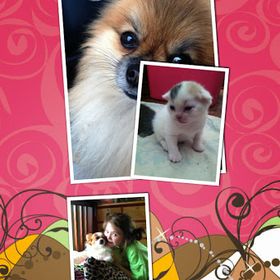 Carissa Lambert - Pinterest Profile Picture of Carissa Lambert (@carlam6679) on Pinterest