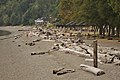 Profile Picture of Kayak Point County Park - Wikipediaon Wikipedia