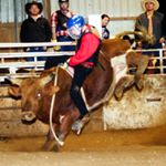 Profile Picture of Cody Bartels (@rankbrahmer) on Instagram