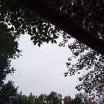 Profile Picture of Joseph Scott (@Joseph-Scott) on Facebook