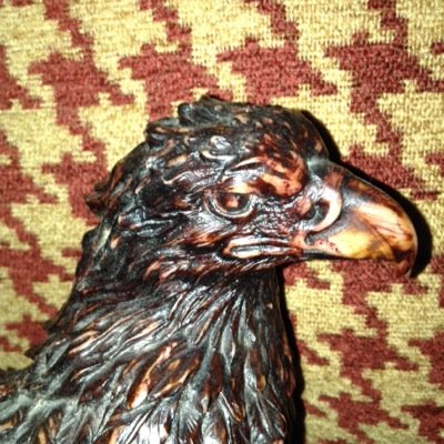 Profile Picture of Brad Steinhoff (@BradSteinhoff1) on Twitter