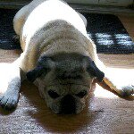 Profile Picture of Andi Luketic Cartwright (@andicart) on Instagram